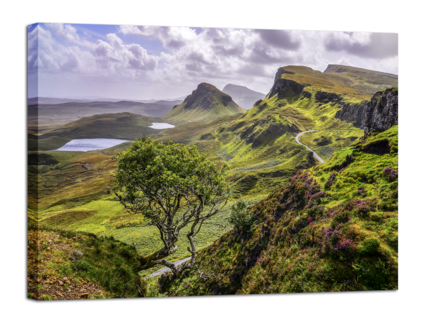 Big_scotland_85x113_st304