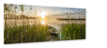 Big_ex579_boat_in_the_grass_50x125_s