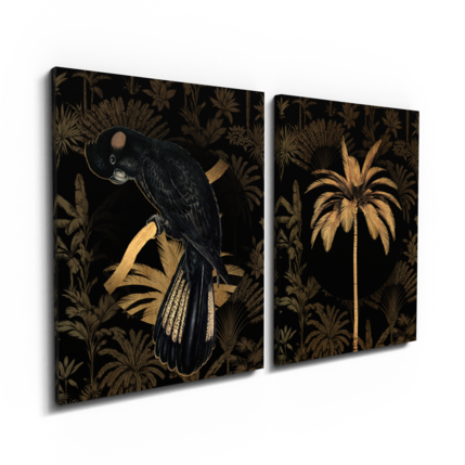 Big_st763_black_parrot_2x32x42_2