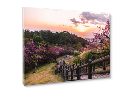 Big_st849_violet_sunset_85x113_2