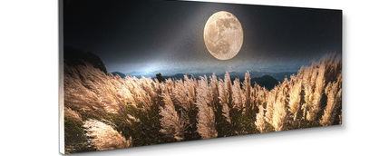 Big_st850_harvest_moon_60x150_2