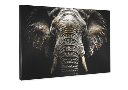 Big_st855_elephas_85x113_2