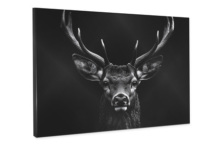 Big_st856_cervus_85x113_2