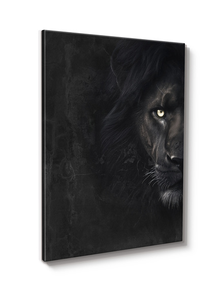 Big_st857_black_lion_60x80_2