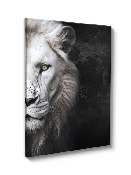 Big_st858_white_lion_60x80_2
