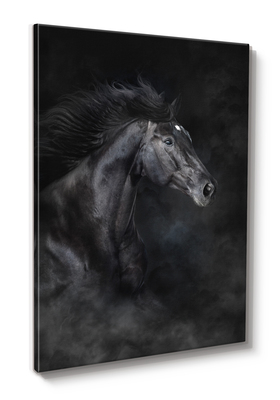 Middle_st900_etalon_70x100_2