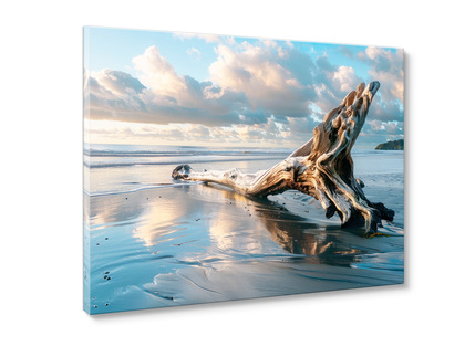Big_st879_driftwood_85x113_2