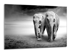 Middle_70x100-elephants-gl103-01