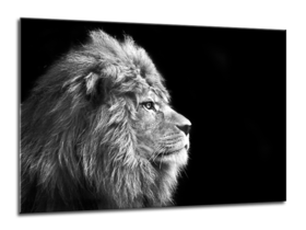 Middle_70x100-lion-gl104-01