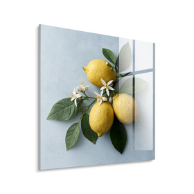 Middle_gl584_limones_30x30_2