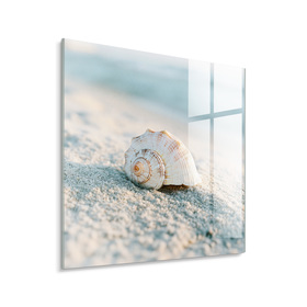 Middle_gl643_sandy_shell_30x30_2