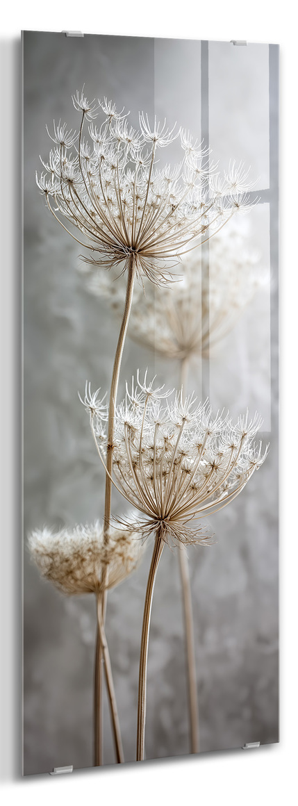 Big_gl634_daucus_30x80_2