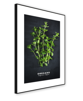 Middle_ab182_oregano_50x70_s