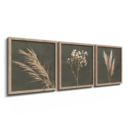 Big_fr391_pampas_3x30x30_2