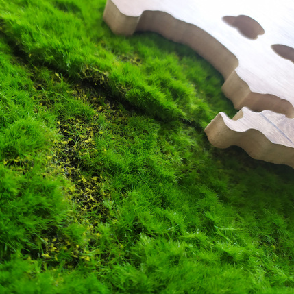 Big_gd003_green_map_70x100_6