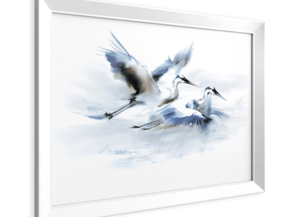 Big_pp042_blue_herons_50x70_2