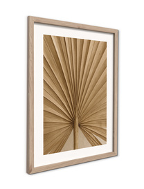 Small_fr559_dried_palm_30x40_2