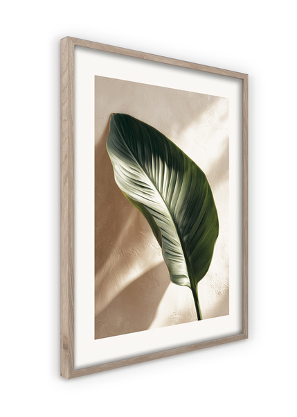 Big_ps045_strelitzia_leaf_50x70_2