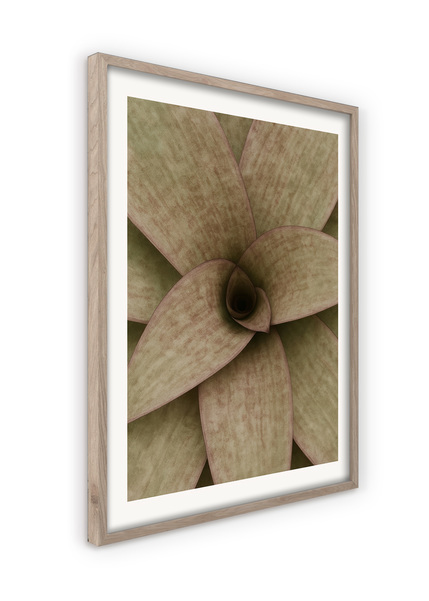 Big_ps047_close-up_50x70_2