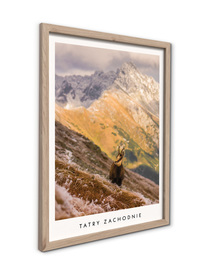Small_fr623_tatry_zachodnie_30x40_2