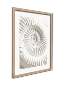 Small_fr645_imprint_30x40_2