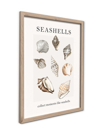 Small_fr647_shells_30x40_2