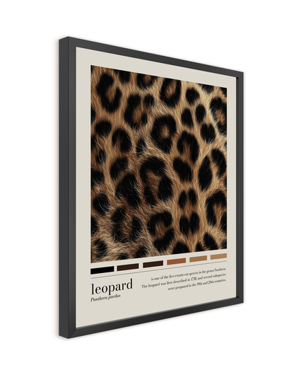 Big_ps146_leo_spots_40x50_2